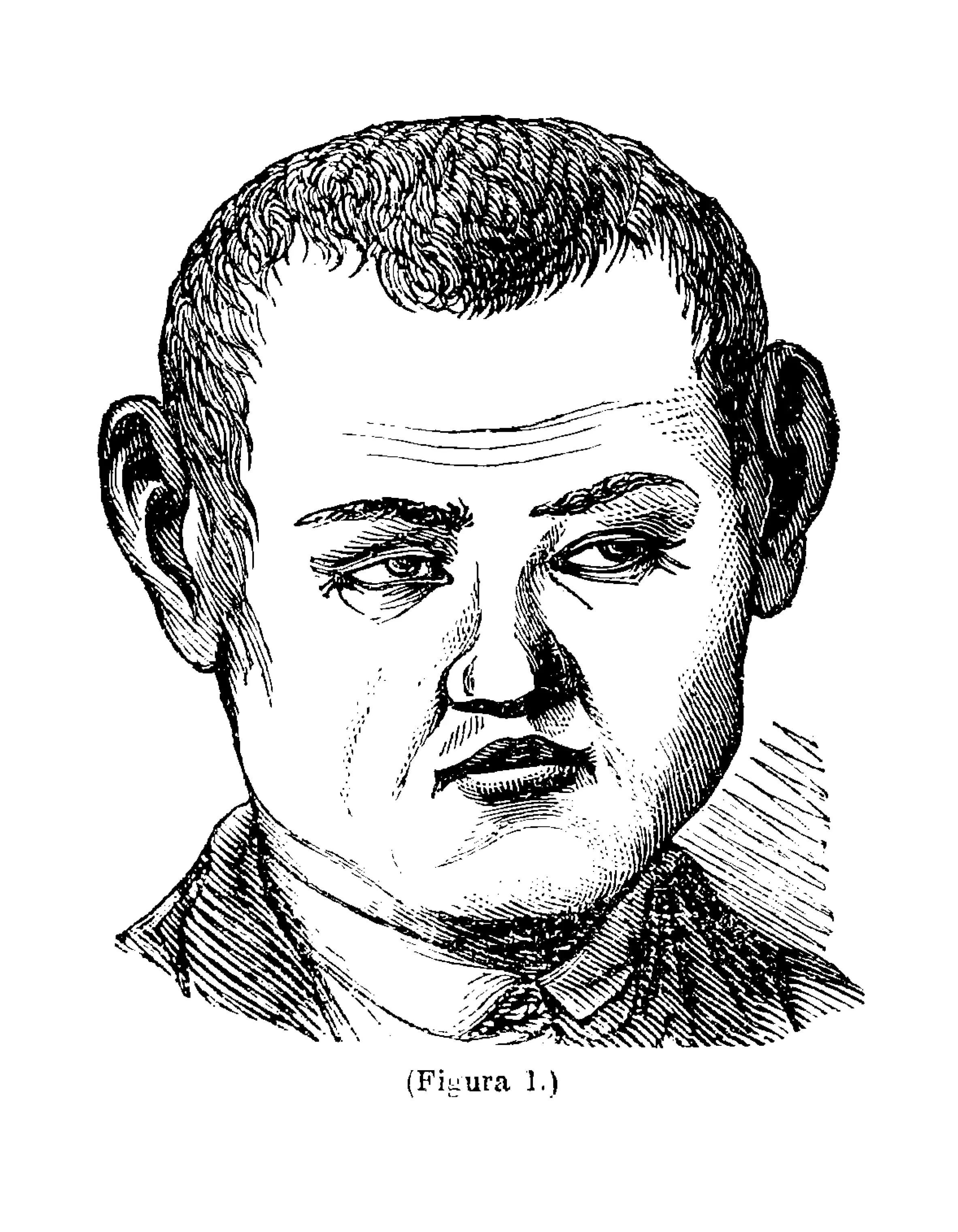 Drawing of a man with an elongated, scowling face.